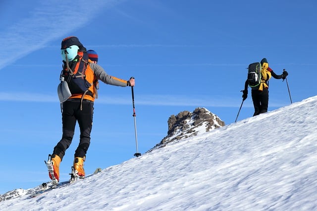 Fra alpin til langrend: En rejse gennem forskellige skisportsgrene