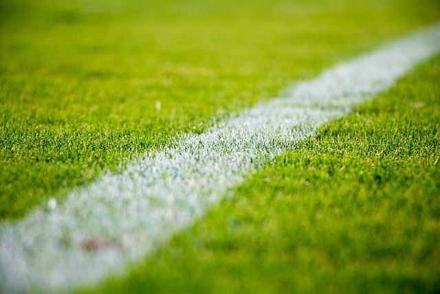 Analyse: Hvad betyder galatasarays nuvarande stilling for mesterskabet?